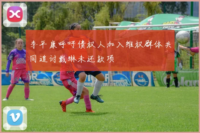 李平康呼吁债权人加入维权群体共同追讨戴琳未还款项