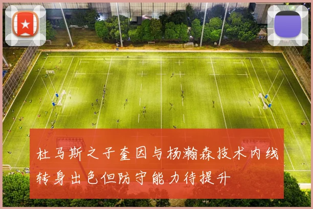 杜马斯之子奎因与杨瀚森技术内线转身出色但防守能力待提升