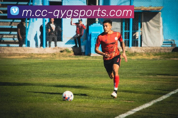 奇异果体育APP 封面图